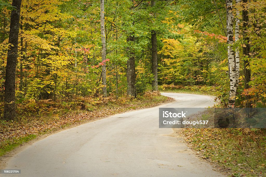 Bobinado empedrado el camino a través del bosque de otoño - Foto de stock de Aire libre libre de derechos