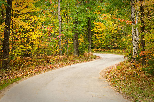 enrolamento pavimentado estrada através da floresta de outono - country road winding road road michigan imagens e fotografias de stock