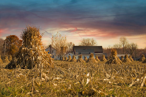 rano zbiorów - farm barn landscape ohio zdjęcia i obrazy z banku zdjęć