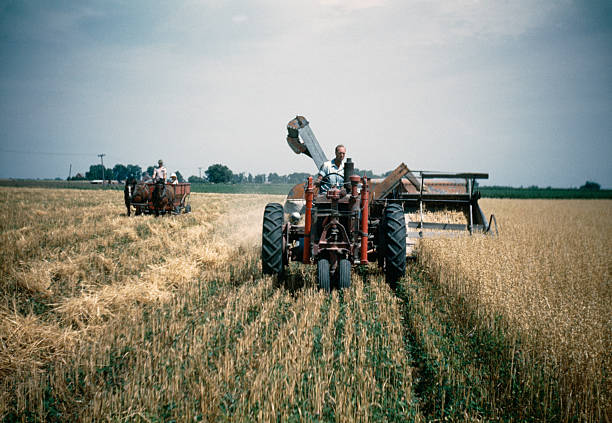 farmer ernten haferflocken in feld 1948, retro - bauernberuf fotos stock-fotos und bilder
