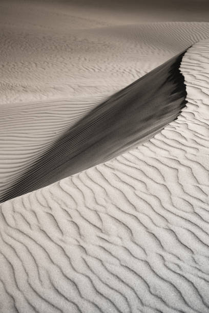 Sand Dune Landscape, Black and White