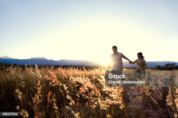 Casal Caminhar Através De Alto Grama Campo Ao Pôr Do Sol - Fotografias de stock e mais imagens de Andar