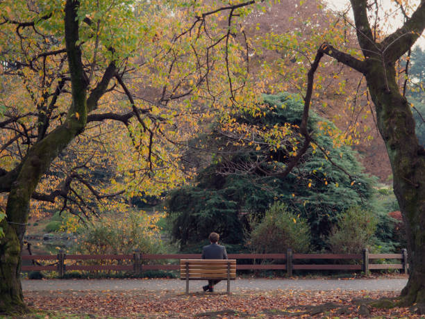 istock A lonely man sat on a park bench in Autumn by himself 1082219516