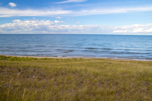 日当たりの良い夏のビーチの背景に砂丘草 - travel destinations lake michigan freshwater standing water ストックフォトと画像