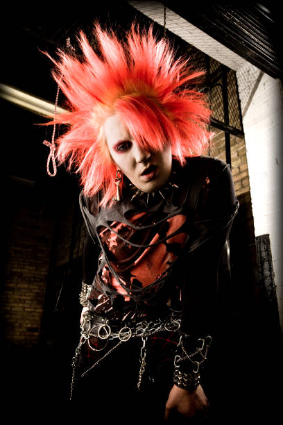 istock Young Male Punk Rocker 108222159