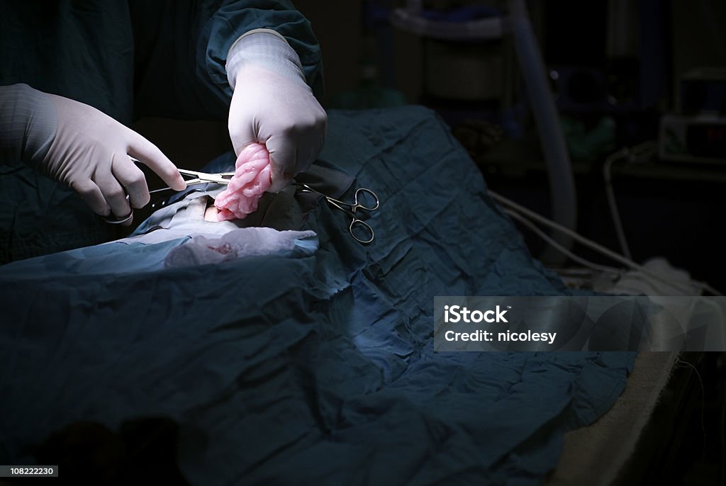 Hands Surgery  Anatomy Stock Photo