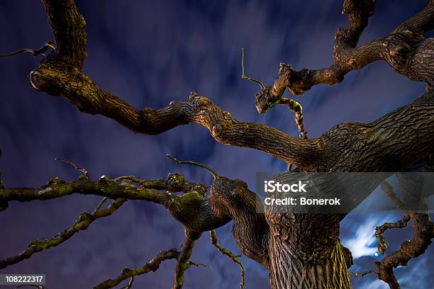 Raro Mágico Árbol Foto de stock y más banco de imágenes de Aire libre - Aire libre, Boscaje, Cielo