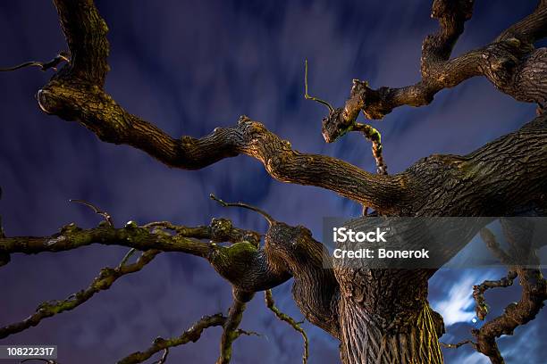 Dziwna Magic Tree - zdjęcia stockowe i więcej obrazów Bez ludzi - Bez ludzi, Chmura, Ciemny