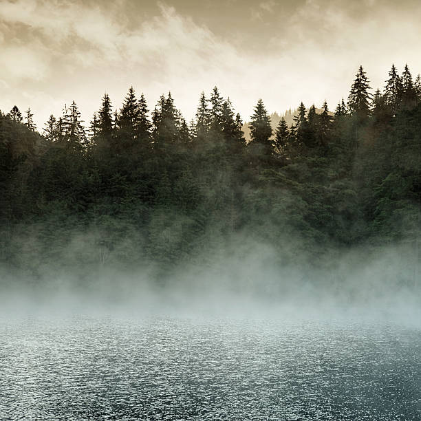 Autumn scenery at the lake, smog and vibrant colorful trees