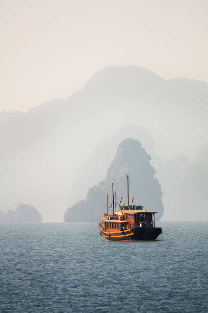baía halong tour - halong bay vietnam bay cruise imagens e fotografias de stock