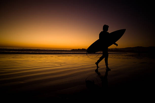 istock Lone surfer on the beach 108222787