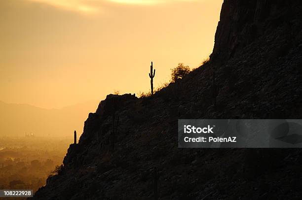 Кактус На Пустынный Ридж — стоковые фотографии и другие картинки Финикс - Аризона - Финикс - Аризона, Аризона - Юго-запад США, Без людей
