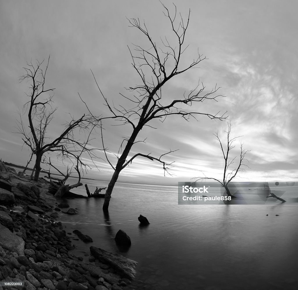 Mar Salton distorsión - Foto de stock de Blanco y negro libre de derechos