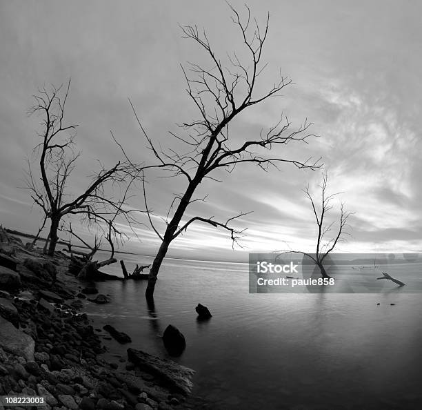 Distortion Salton Море — стоковые фотографии и другие картинки Солтон-Си - Солтон-Си, Фотографирование, Чёрно-белый