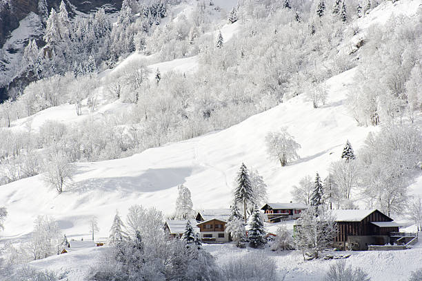 istock Winter Mountain Landscape Covered by Snow 108223206