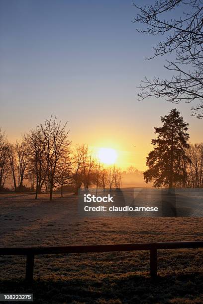 Metropark Am Morgen Monza Farbe Stockfoto und mehr Bilder von Baum - Baum, Farbbild, Fotografie