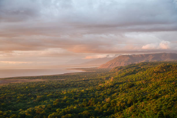 리프트 밸리 호수 manyara, 탄자니아에의 보기 - lake manyara national park 뉴스 사진 이미지