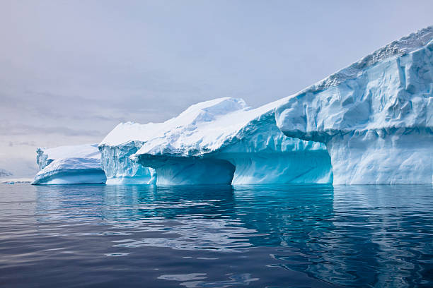 Iceberg, Paradise Bay, Antarctica stock photo