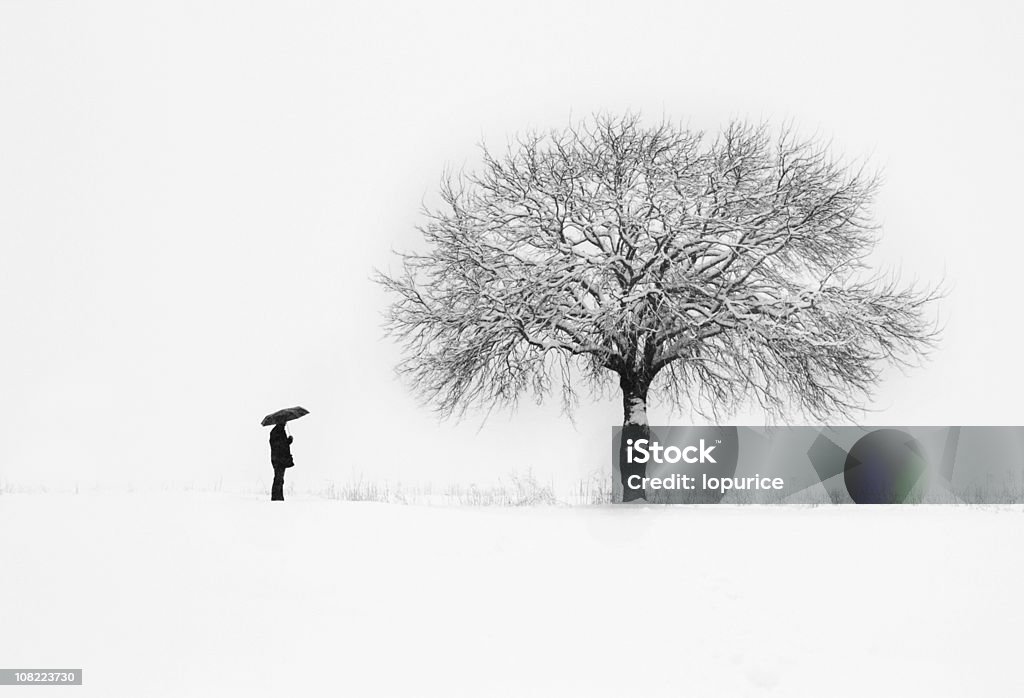 HOMME DEBOUT près de l'arbre dans la tempête de neige - Photo de Adulte libre de droits