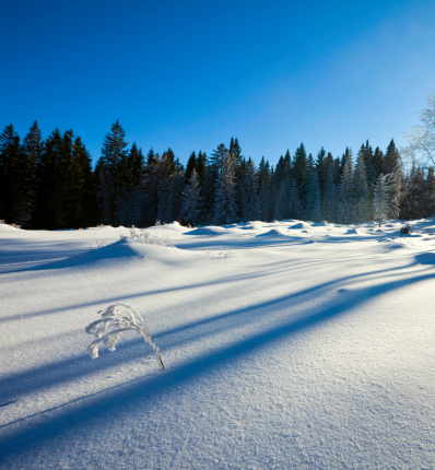 A beautiful white winter landscape with snow and trees