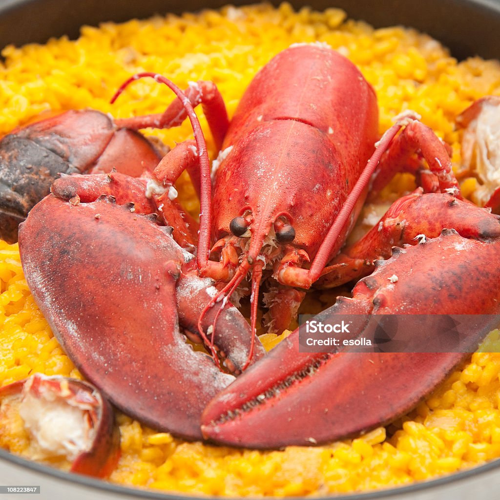 Homard vapeur sur riz jaune - Photo de Homard - Produit de la mer libre de droits