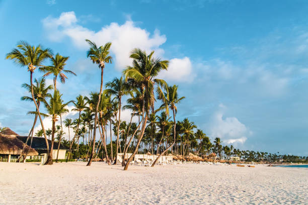 istock Bavaro Beaches in Punta Cana, Dominican Republic 1082239498