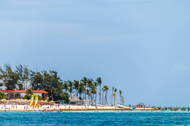 istock Bavaro Beaches in Punta Cana, Dominican Republic 1082240852