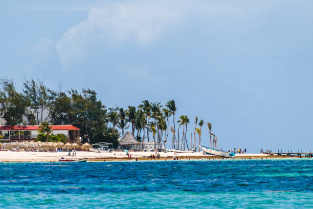 istock Bavaro Beaches in Punta Cana, Dominican Republic 1082241004