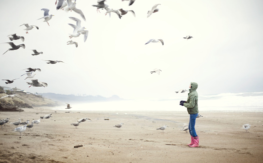 A young woman relaxes at the ocean beach, feeding a flock of gulls flying over the sand.  Very shallow depth of field.  Horizontal with copy space.