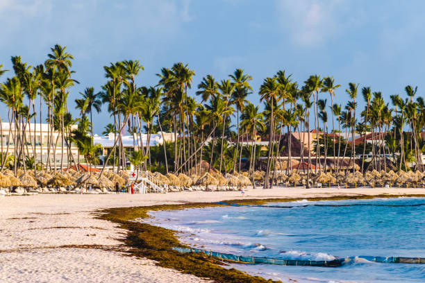 istock Bavaro Beaches in Punta Cana, Dominican Republic 1082241300