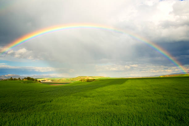 A rainbow over a green field with rain clouds stock photo