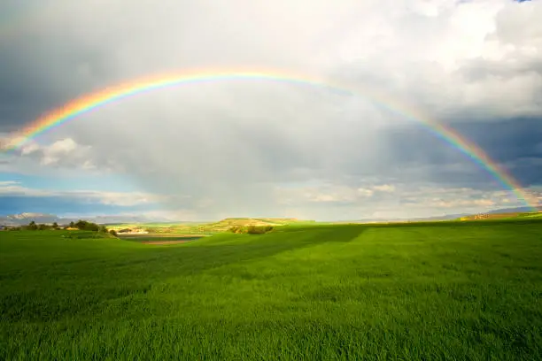 Photo of A rainbow over a green field with rain clouds