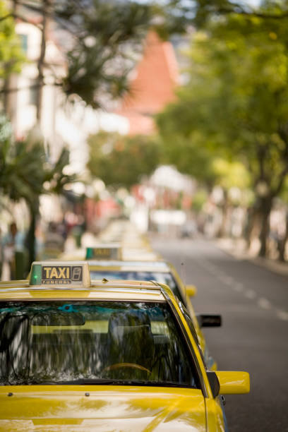 istock Row of Taxis on Tree Lined Street 108224476