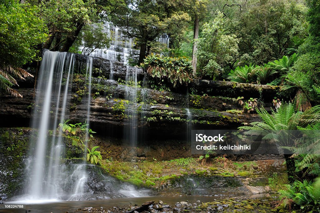 Wasserfall Russell Falls - Lizenzfrei Tasmanien Stock-Foto