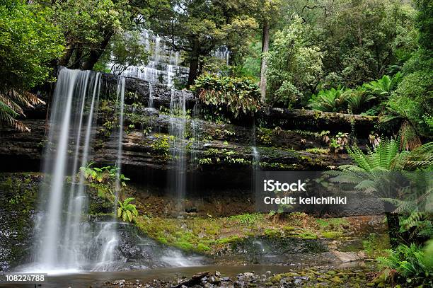 Cataratas Russell Foto de stock y más banco de imágenes de Tasmania - Tasmania, Catarata, Barranco