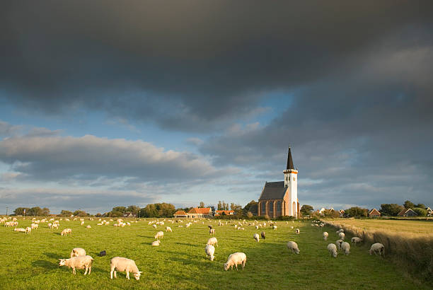 istock Church of Den Hoorn, Texel 108224965