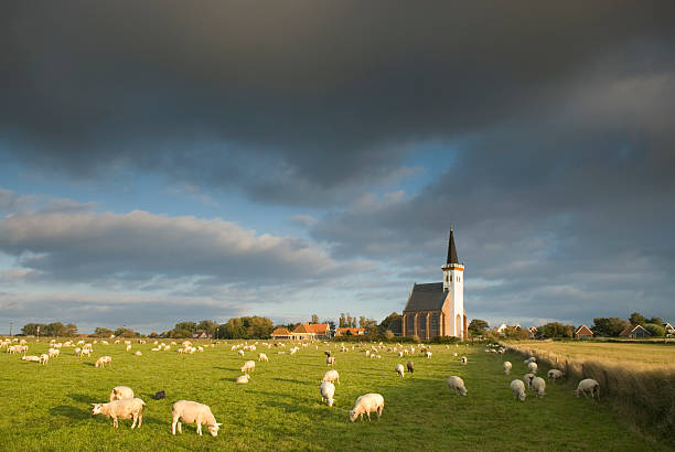 Church of Den Hoorn, Texel  friesland netherlands stock pictures, royalty-free photos & images