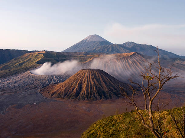 gunung bromo-vulkan indonesiens - bromo crater stock-fotos und bilder