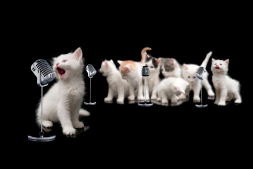 singer cats and her choir