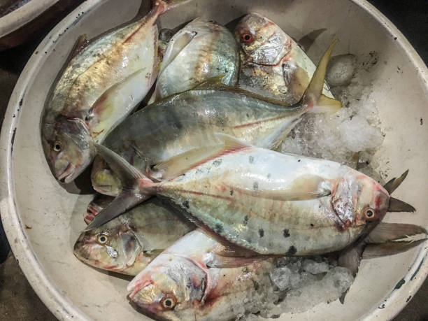 istock Indonesia Seafood Traditional Market 1082255742