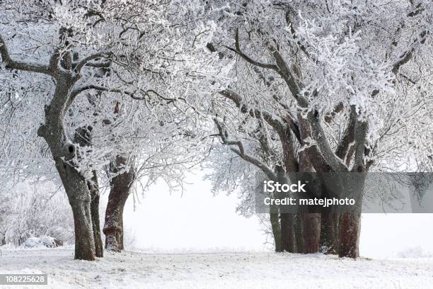 Snowy Alley Z Śnieg Na Podłożu - zdjęcia stockowe i więcej obrazów Aranżacja - Aranżacja, Bez ludzi, Chłodny