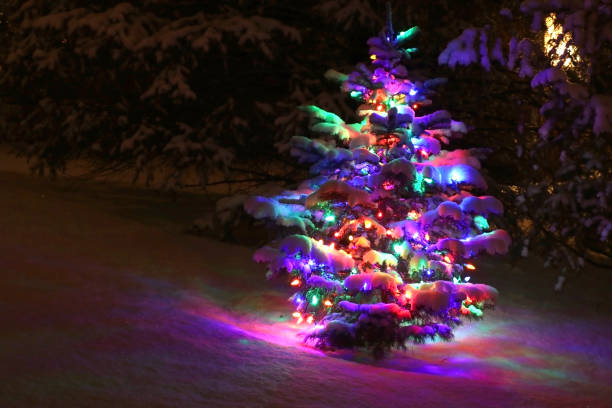 istock Outdoor decorated Christmas tree. 1082259430