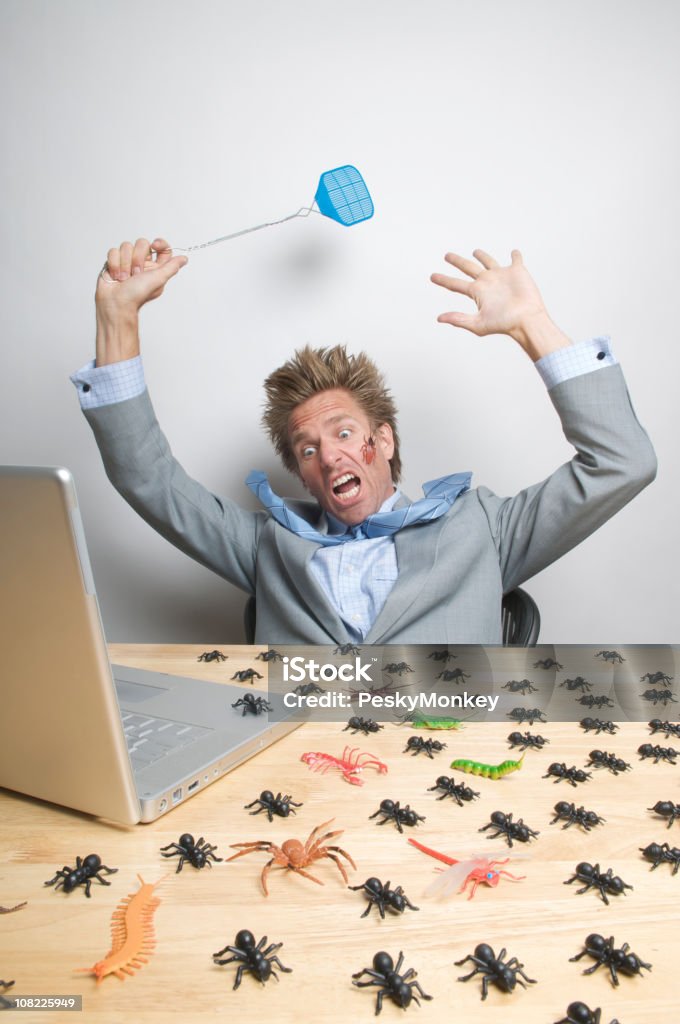 STRESSATO Uomo d'affari è contestato da errori su Computer portatile - Foto stock royalty-free di Schiacciamosche