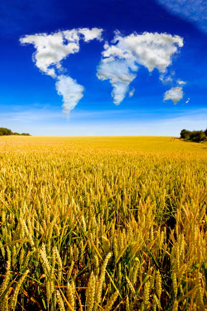 A field of grass and trees. Sky. Outdoor. Grass. Field. Clouds