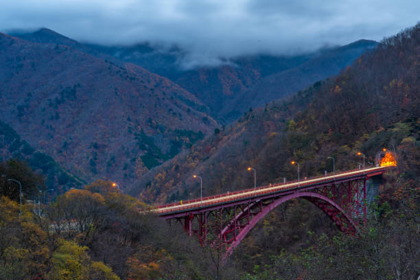 istock Beautiful red Mameyaki bridge 1082267286