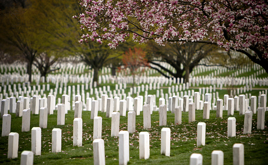 New York, United States – September 12, 2020: Memorials for victims of the 9/11 terror attacks on the 2020 anniversary of the attacks