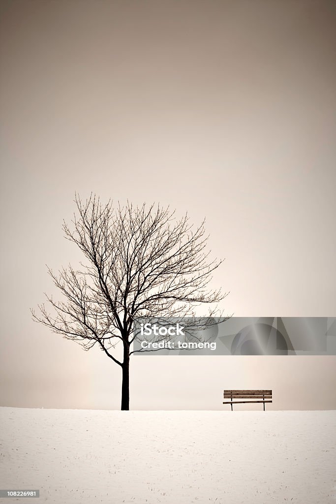 Albero e Panca in inverno - Foto stock royalty-free di Albero