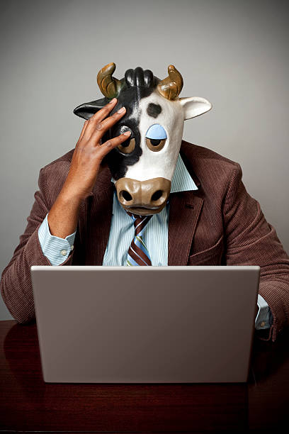 Sad Bull Market
