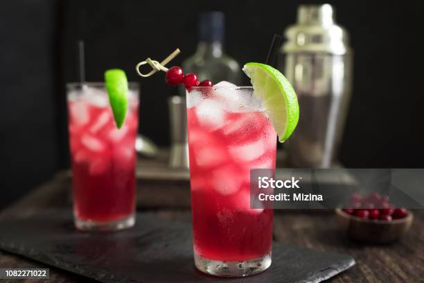 Cranberry Vodka Cocktail Stock Photo - Download Image Now - Cranberry, Cocktail, Vodka