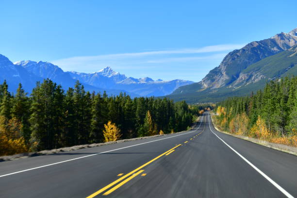 istock 93 Icefield Parkway in Autumn, Jasper National park,Canada 1082271156